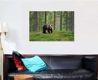 European Brown Bear Forest Landscape Bear Animals Luxury Multi Canvas Prints, Multi Piece Panel Canvas Gallery Art Print Print
