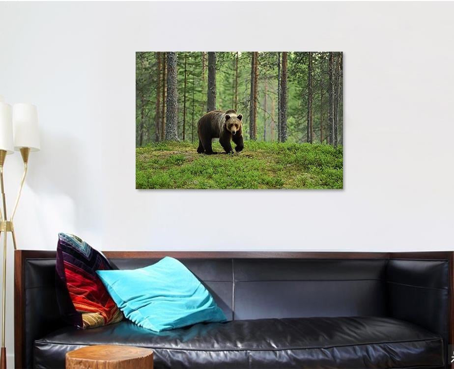 European Brown Bear Forest Landscape Bear Animals Luxury Multi Canvas Prints, Multi Piece Panel Canvas Gallery Art Print Print