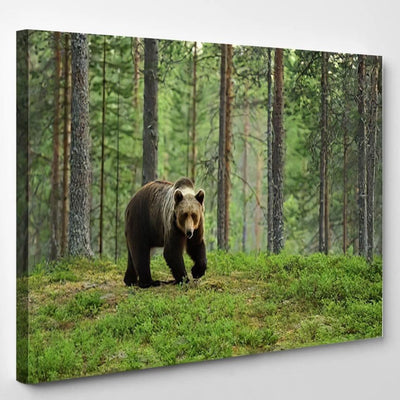 European Brown Bear Forest Landscape Bear Animals Luxury Multi Canvas Prints, Multi Piece Panel Canvas Gallery Art Print Print