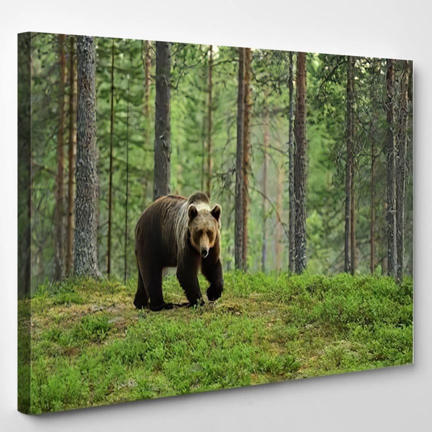 European Brown Bear Forest Landscape Bear Animals Luxury Multi Canvas Prints, Multi Piece Panel Canvas Gallery Art Print Print