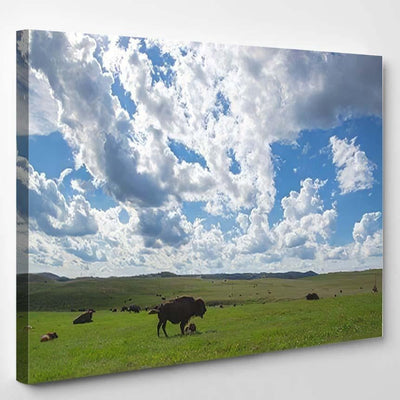 Green Field Bison Herds Cloudy Blue Bison Animals Luxury Multi Canvas Prints, Multi Piece Panel Canvas Gallery Art Print Print