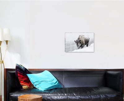 American Bison 15 Bison Animals Luxury Multi Canvas Prints, Multi Piece Panel Canvas Gallery Art Print Print