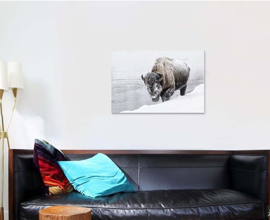 American Bison 15 Bison Animals Luxury Multi Canvas Prints, Multi Piece Panel Canvas Gallery Art Print Print