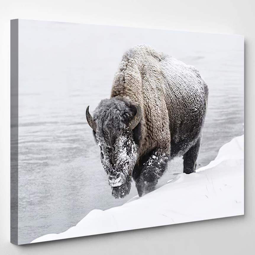 American Bison 15 Bison Animals Luxury Multi Canvas Prints, Multi Piece Panel Canvas Gallery Art Print Print