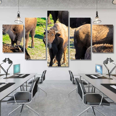 Bison Nachusa Grasslands Illinois Bison Animals Luxury Multi Canvas Prints, Multi Piece Panel Canvas Gallery Art Print Print