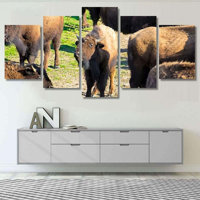 Bison Nachusa Grasslands Illinois Bison Animals Luxury Multi Canvas Prints, Multi Piece Panel Canvas Gallery Art Print Print