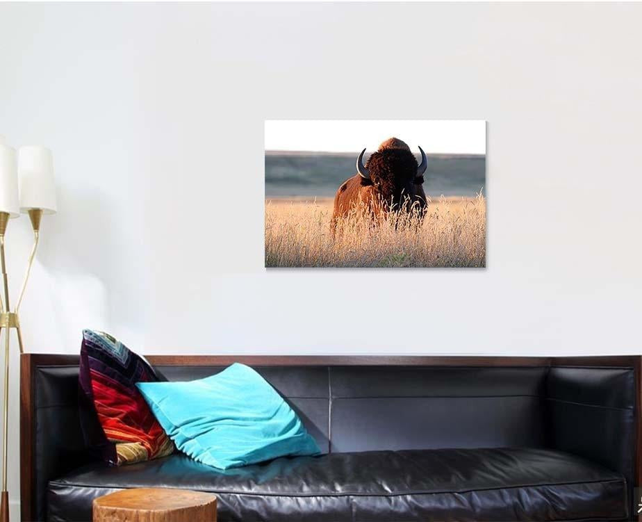 American Bison Bull Tall Grass Shortgrass Bison Animals Luxury Multi Canvas Prints, Multi Piece Panel Canvas Gallery Art Print Print