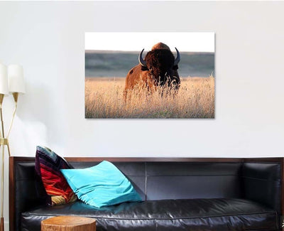 American Bison Bull Tall Grass Shortgrass Bison Animals Luxury Multi Canvas Prints, Multi Piece Panel Canvas Gallery Art Print Print