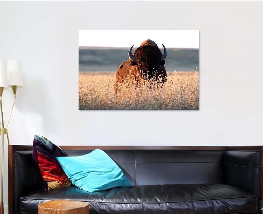 American Bison Bull Tall Grass Shortgrass Bison Animals Luxury Multi Canvas Prints, Multi Piece Panel Canvas Gallery Art Print Print