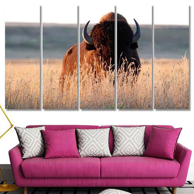 American Bison Bull Tall Grass Shortgrass Bison Animals Luxury Multi Canvas Prints, Multi Piece Panel Canvas Gallery Art Print Print