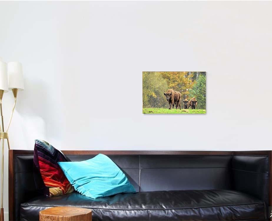 European Bisons Natural Habitat Bison Animals Luxury Multi Canvas Prints, Multi Piece Panel Canvas Gallery Art Print Print