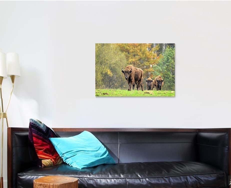 European Bisons Natural Habitat Bison Animals Luxury Multi Canvas Prints, Multi Piece Panel Canvas Gallery Art Print Print