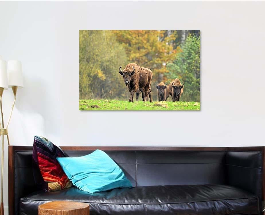 European Bisons Natural Habitat Bison Animals Luxury Multi Canvas Prints, Multi Piece Panel Canvas Gallery Art Print Print