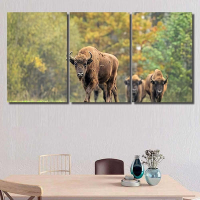 European Bisons Natural Habitat Bison Animals Luxury Multi Canvas Prints, Multi Piece Panel Canvas Gallery Art Print Print