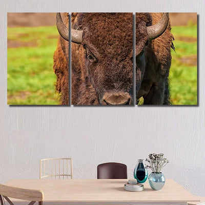 Close Head American Bison Bison Animals Luxury Multi Canvas Prints, Multi Piece Panel Canvas Gallery Art Print Print