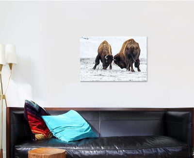 American Bison 26 Bison Animals Luxury Multi Canvas Prints, Multi Piece Panel Canvas Gallery Art Print Print