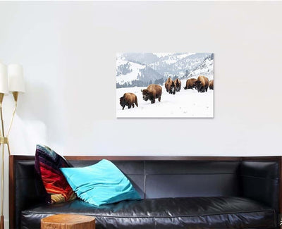 Yellowstone Bison Winter Snow 1 Bison Animals Luxury Multi Canvas Prints, Multi Piece Panel Canvas Gallery Art Print Print