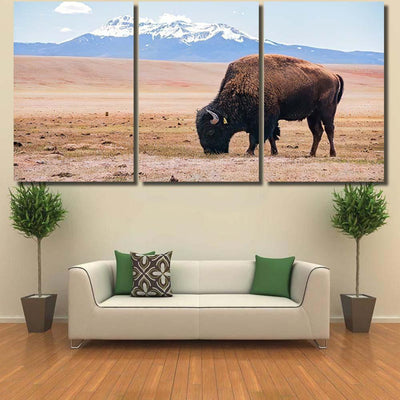 Single Bison Eating Grass On Field Bison Animals Luxury Multi Canvas Prints, Multi Piece Panel Canvas Gallery Art Print Print
