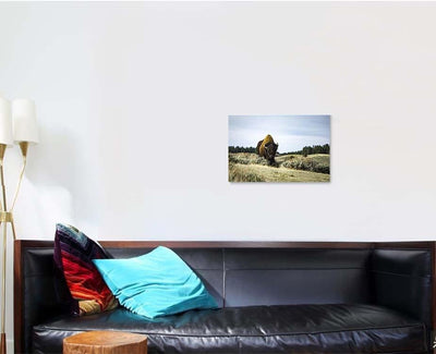 Bison Wild 2 Bison Animals Luxury Multi Canvas Prints, Multi Piece Panel Canvas Gallery Art Print Print