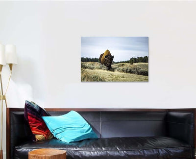 Bison Wild 2 Bison Animals Luxury Multi Canvas Prints, Multi Piece Panel Canvas Gallery Art Print Print