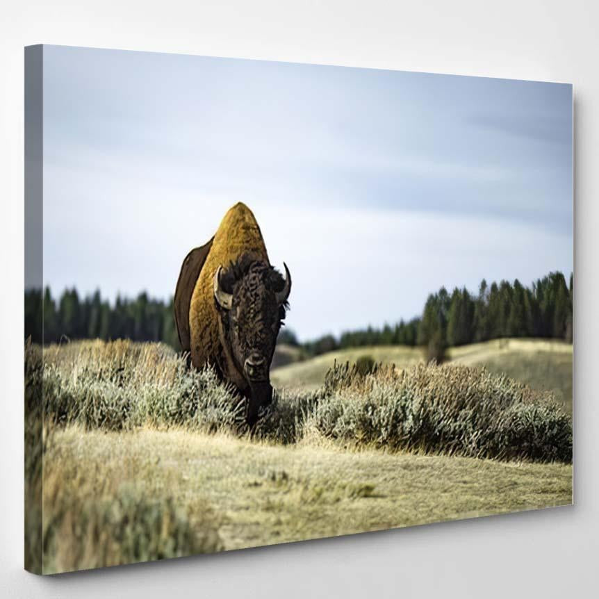 Bison Wild 2 Bison Animals Luxury Multi Canvas Prints, Multi Piece Panel Canvas Gallery Art Print Print