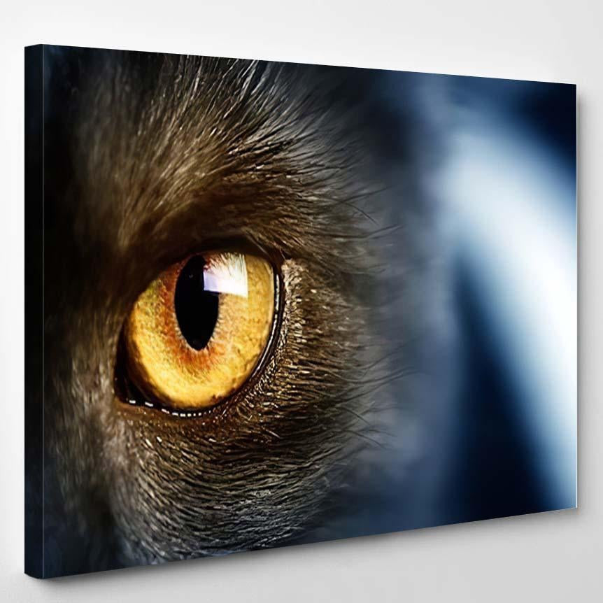 Cats Eye 4 Black Panther Animals Luxury Multi Canvas Prints, Multi Piece Panel Canvas Gallery Art Print Print