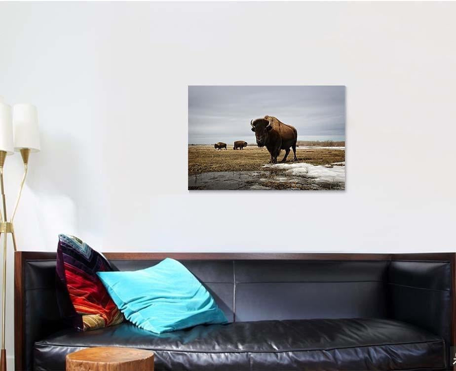 Bison On Prairie Bison Animals Luxury Multi Canvas Prints, Multi Piece Panel Canvas Gallery Art Print Print