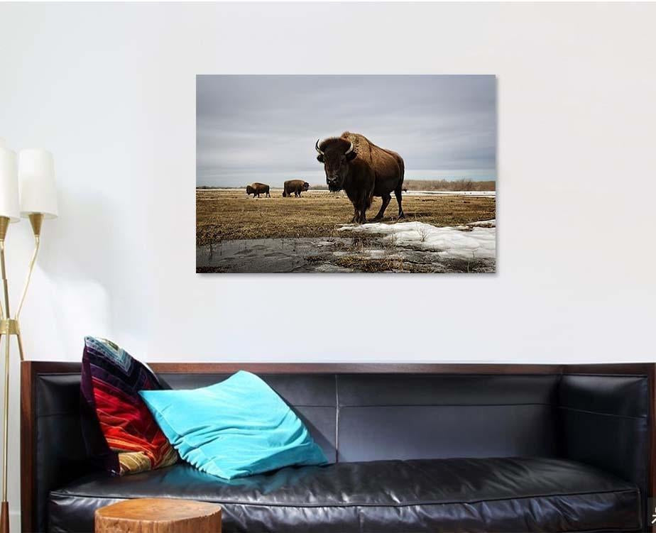 Bison On Prairie Bison Animals Luxury Multi Canvas Prints, Multi Piece Panel Canvas Gallery Art Print Print