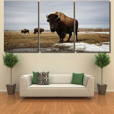 Bison On Prairie Bison Animals Luxury Multi Canvas Prints, Multi Piece Panel Canvas Gallery Art Print Print