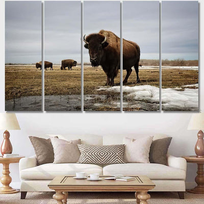 Bison On Prairie Bison Animals Luxury Multi Canvas Prints, Multi Piece Panel Canvas Gallery Art Print Print