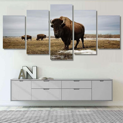 Bison On Prairie Bison Animals Luxury Multi Canvas Prints, Multi Piece Panel Canvas Gallery Art Print Print