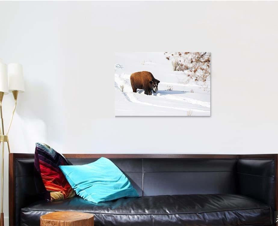 American Bison Explores Snow Covered Winter Bison Animals Luxury Multi Canvas Prints, Multi Piece Panel Canvas Gallery Art Print Print