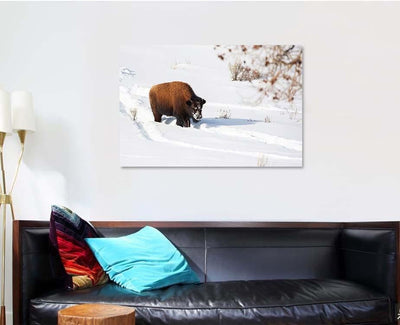 American Bison Explores Snow Covered Winter Bison Animals Luxury Multi Canvas Prints, Multi Piece Panel Canvas Gallery Art Print Print