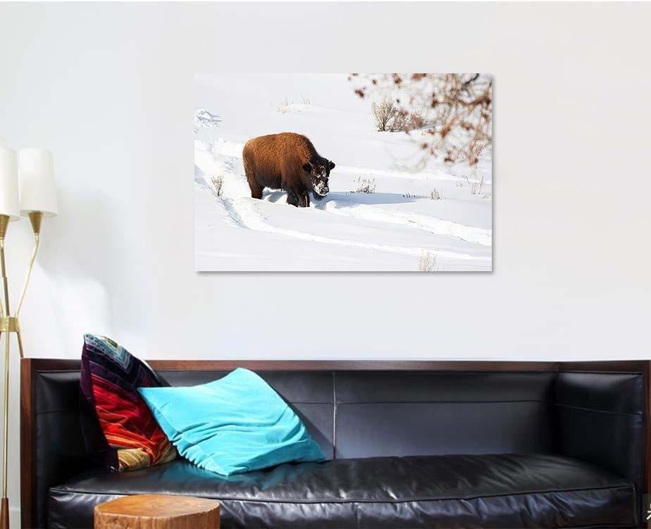 American Bison Explores Snow Covered Winter Bison Animals Luxury Multi Canvas Prints, Multi Piece Panel Canvas Gallery Art Print Print