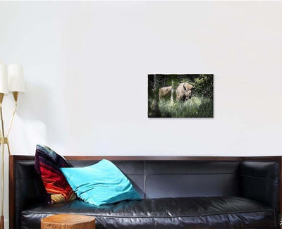 Bison Bulls Danish Nature Experiment Almindingen Bison Animals Luxury Multi Canvas Prints, Multi Piece Panel Canvas Gallery Art Print Print