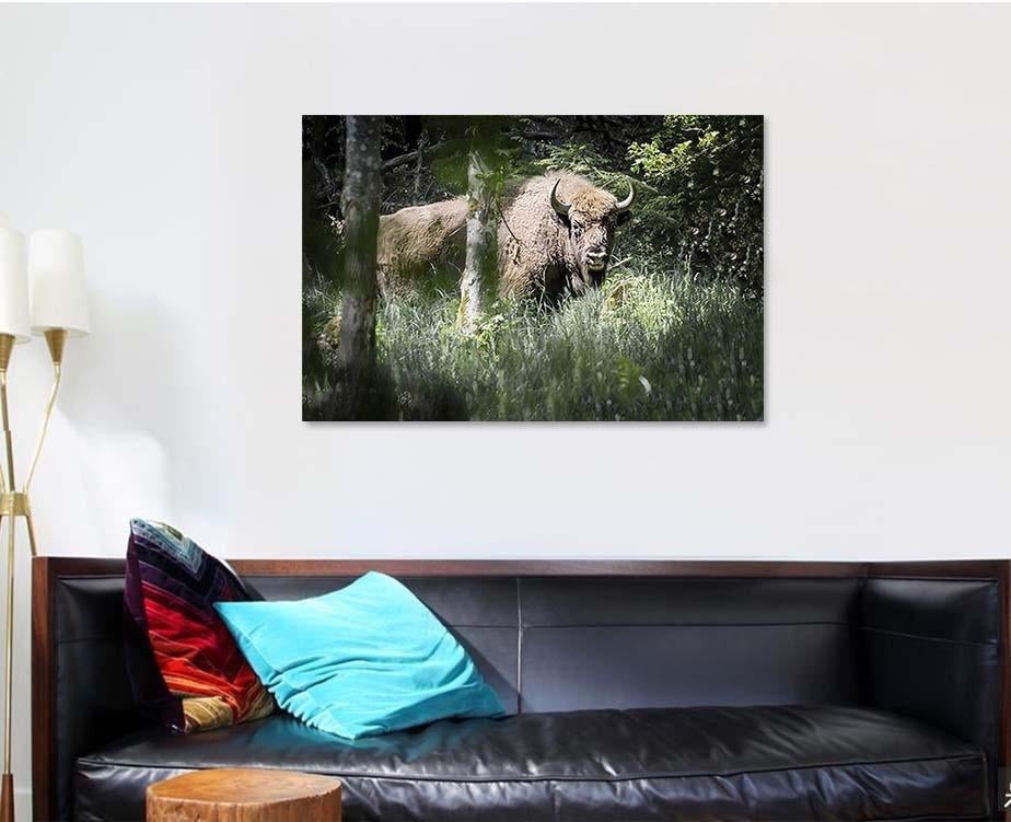 Bison Bulls Danish Nature Experiment Almindingen Bison Animals Luxury Multi Canvas Prints, Multi Piece Panel Canvas Gallery Art Print Print