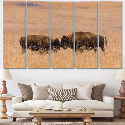 Two American Bison Face Each Other Bison Animals Luxury Multi Canvas Prints, Multi Piece Panel Canvas Gallery Art Print Print