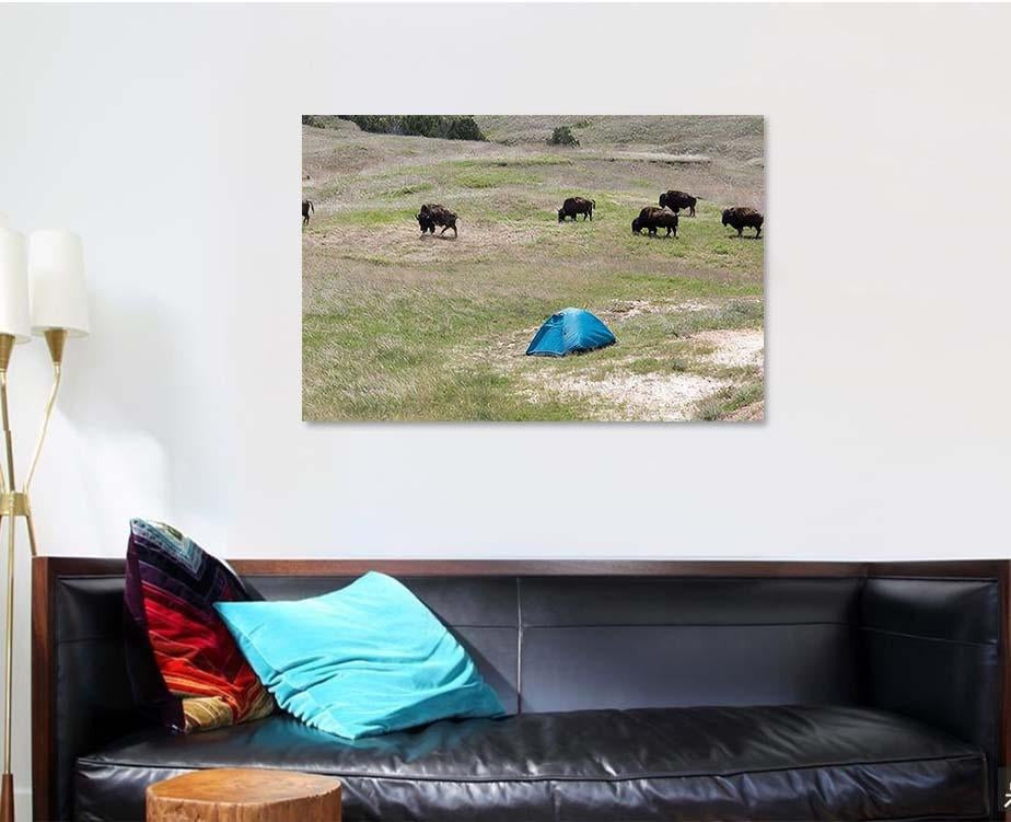 Wild Bison Getting Close Tent Wilderness Bison Animals Luxury Multi Canvas Prints, Multi Piece Panel Canvas Gallery Art Print Print