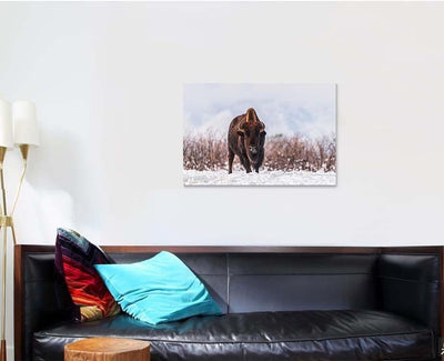 Bison Snow Bison Animals Luxury Multi Canvas Prints, Multi Piece Panel Canvas Gallery Art Print Print