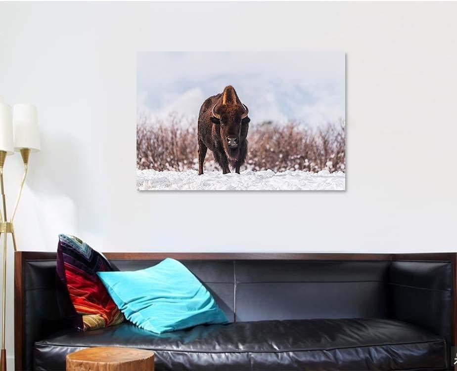 Bison Snow Bison Animals Luxury Multi Canvas Prints, Multi Piece Panel Canvas Gallery Art Print Print