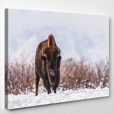 Bison Snow Bison Animals Luxury Multi Canvas Prints, Multi Piece Panel Canvas Gallery Art Print Print