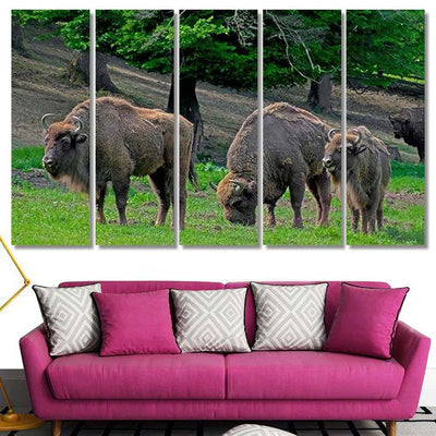 Family Bison Grazing On Pastures Aurochs Bison Animals Luxury Multi Canvas Prints, Multi Piece Panel Canvas Gallery Art Print Print