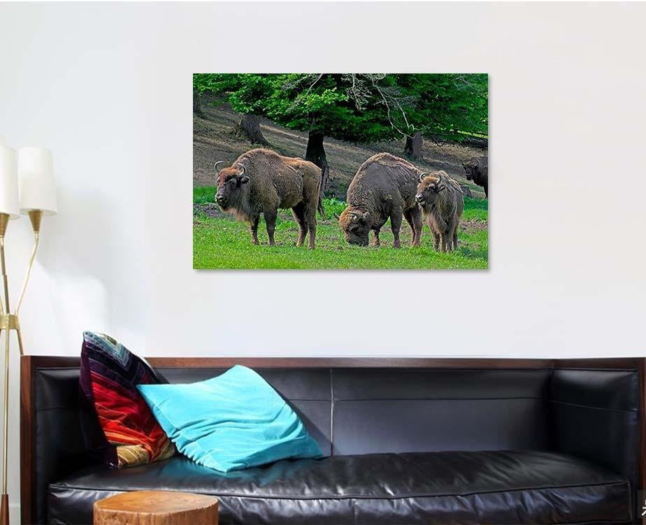 Family Bison Grazing On Pastures Aurochs Bison Animals Luxury Multi Canvas Prints, Multi Piece Panel Canvas Gallery Art Print Print