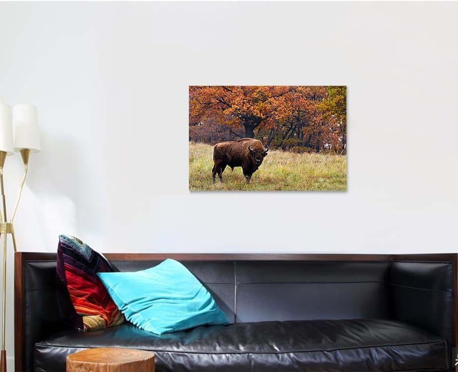 European Bison Autumn Latin Bonasus Bison Animals Luxury Multi Canvas Prints, Multi Piece Panel Canvas Gallery Art Print Print