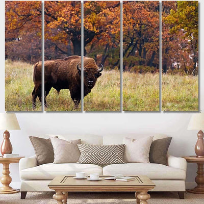 European Bison Autumn Latin Bonasus Bison Animals Luxury Multi Canvas Prints, Multi Piece Panel Canvas Gallery Art Print Print