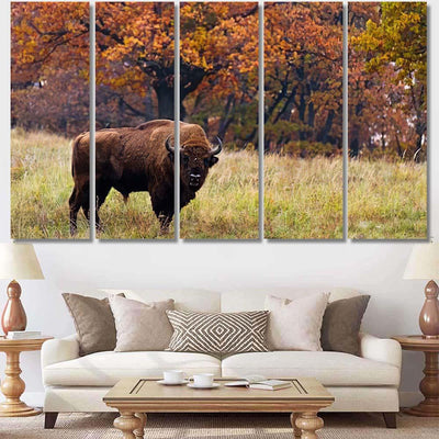 European Bison Autumn Latin Bonasus Bison Animals Luxury Multi Canvas Prints, Multi Piece Panel Canvas Gallery Art Print Print