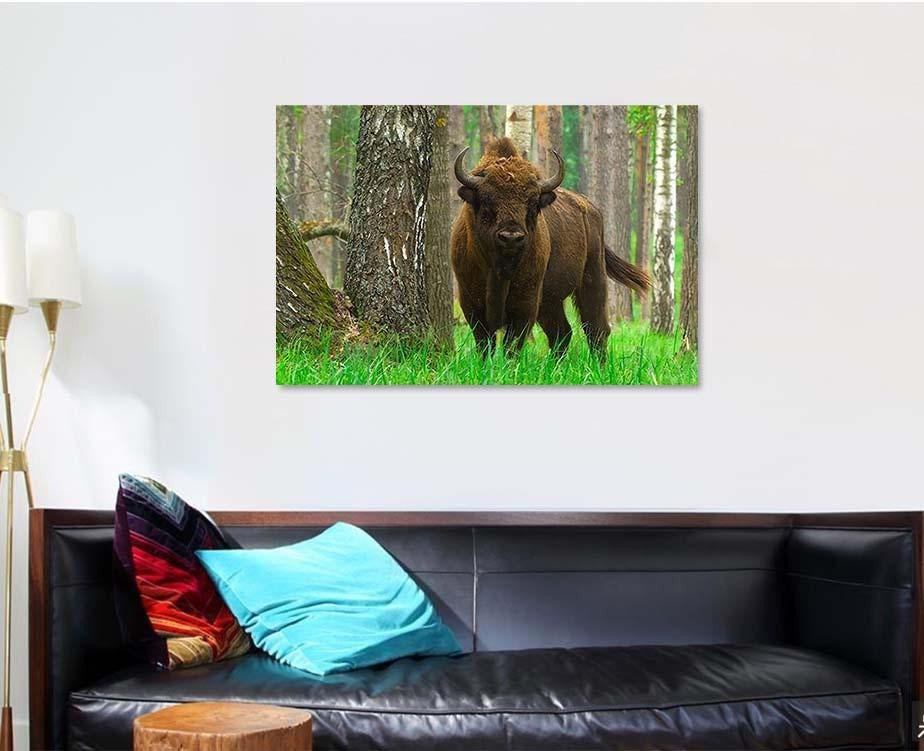European Bison Bonasus Captured Oka Nature Bison Animals Luxury Multi Canvas Prints, Multi Piece Panel Canvas Gallery Art Print Print