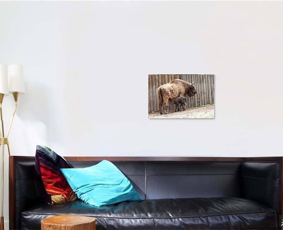 Wild Bison Cub Near Fence Spring Bison Animals Luxury Multi Canvas Prints, Multi Piece Panel Canvas Gallery Art Print Print