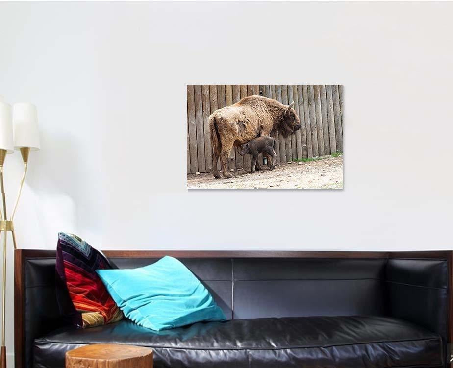 Wild Bison Cub Near Fence Spring Bison Animals Luxury Multi Canvas Prints, Multi Piece Panel Canvas Gallery Art Print Print