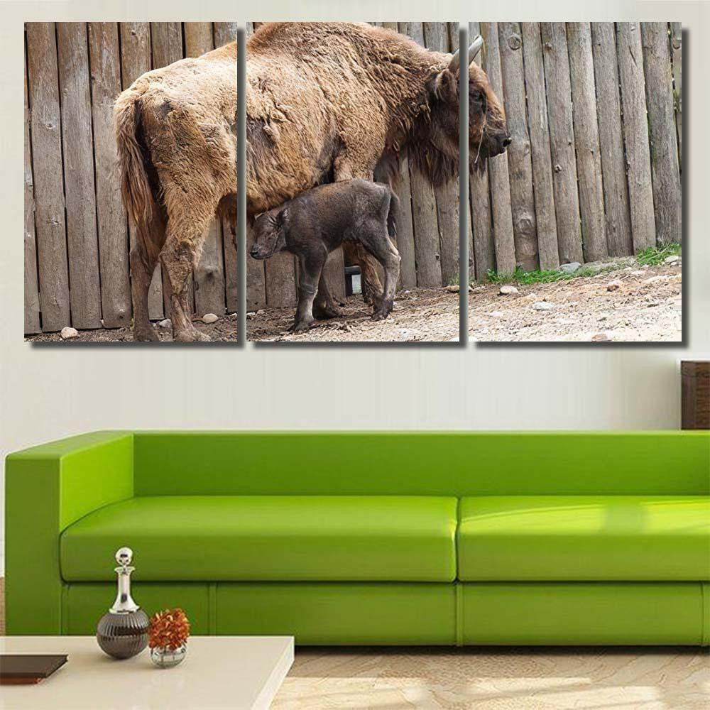 Wild Bison Cub Near Fence Spring Bison Animals Luxury Multi Canvas Prints, Multi Piece Panel Canvas Gallery Art Print Print